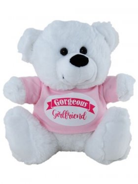 Plush Bear Gorgeous Girlfriend Pink Shirt 23cm