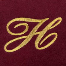 Single Script Initial