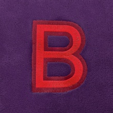 Single 2 Colour Initial