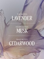 L'Occitane White Lavender Pamper Hamper