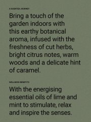 The Aromatherapy Co. Therapy Garden Hand Cream 75ml