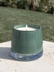 The Aromatherapy Co. Gardener Candle - Wild Lime & Mint 260g