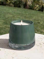 The Aromatherapy Co. Therapy Garden Candle Wild Mint & Lime 260g