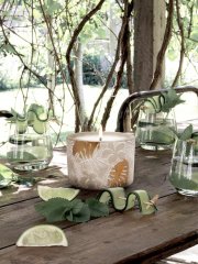 The Aromatherapy Co. Garden Candle - Citronella & Zesty Lime 300g