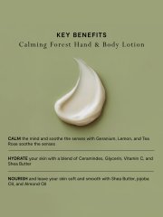 Mood by MOR Calming Forest Hand & Body Lotion 450ml