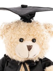 Teddy Bear - Graduation