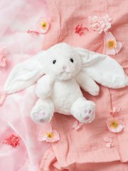 Molly the Bunny Soft Plush Toy 21cm