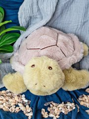 Merlin the Turtle Soft Plush Toy 26cm
