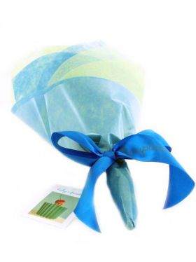 Babycupcakes Play Bouquet - Blue