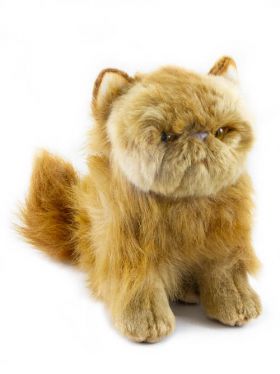 persian cat plush