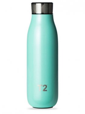 T2 Stainless Steel Etched Lid Flask 500ml - Pearlised Mint