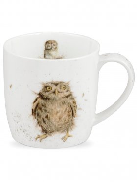 Royal Worcester What A Hoot (Owl) Mug