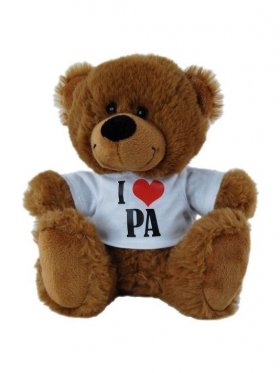 Plush Bear Brown I Love Pa Shirt 18cm