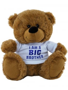 Plush Bear Brown I am Big Brother Shirt 23cm