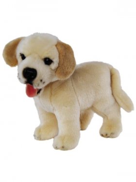 Plush Dog Cream Labrador Dudley 25cm
