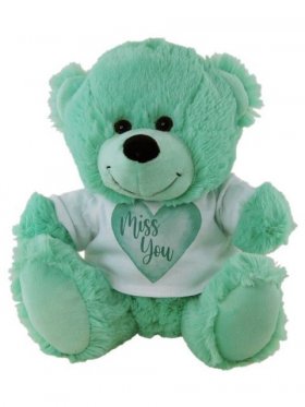 Plush Bear Miss You Shirt 23cm