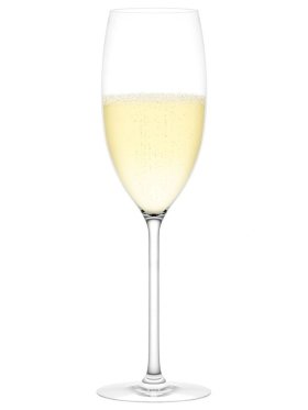 Plumm Vintage Sparkling Wine Glasses, Set of 2