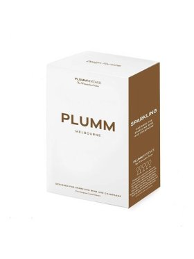 Plumm Vintage Sparkling Wine Glasses, Set of 2