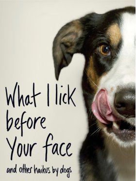 What I Lick Before Your Face ...