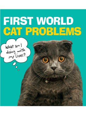 First World Cat Problems