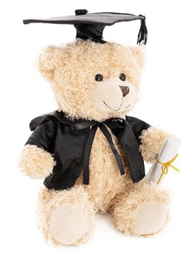 Teddy Bear - Graduation