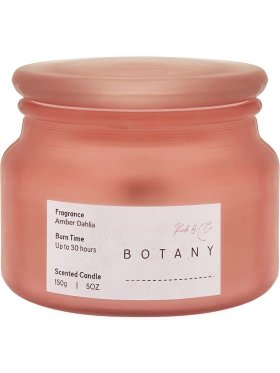 Botany Amber Dahlia Candle 150g