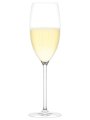 Plumm Vintage Sparkling Wine Glasses, Set of 2