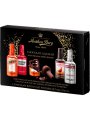 Anthon Berg Chocolate Liqueurs - 4 pack 62g