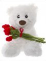 Add Soft Toys & Silk Flowers to this gift